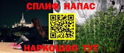 стафф Моздок