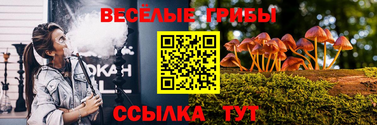 Волгодонск  Псилоцибиновые грибы ЛСД  Псилоцибиновые грибы Magic Shrooms  Вход с VPN 