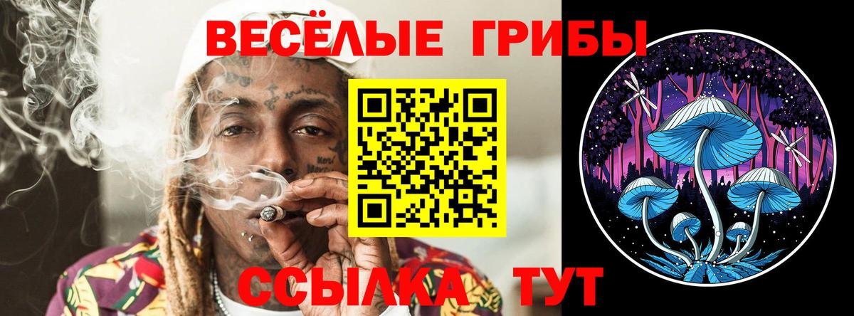 Галлюциногенные грибы Psilocybine cubensis Волгодонск